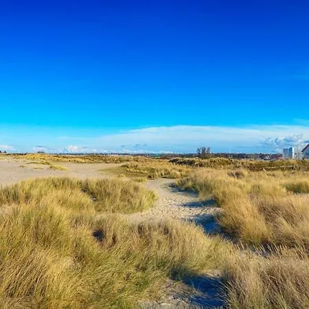 Ostsee - Nr 162 